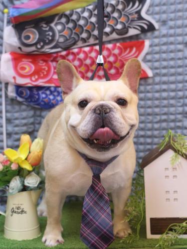 20230514こてつくん